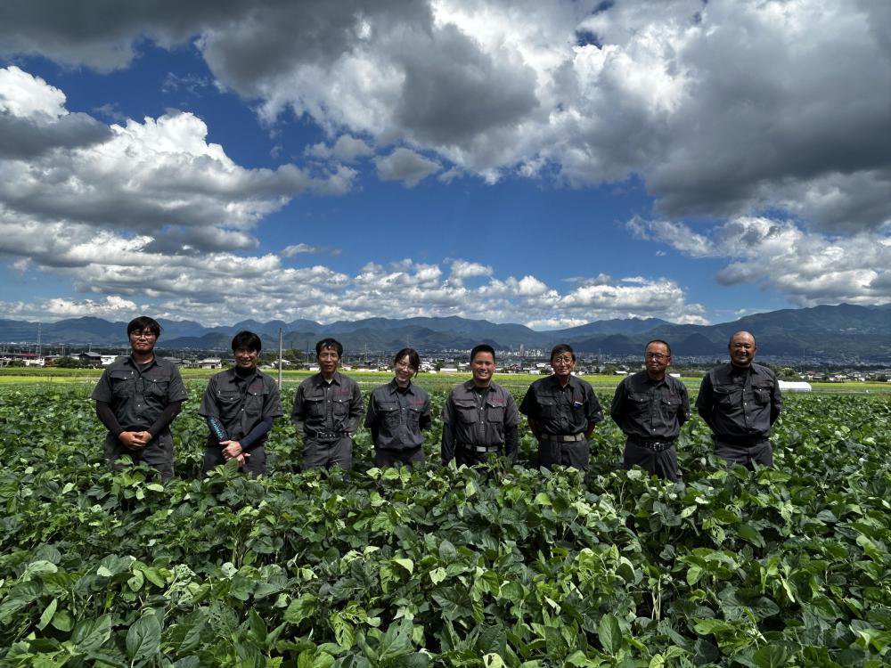 �����̿���������