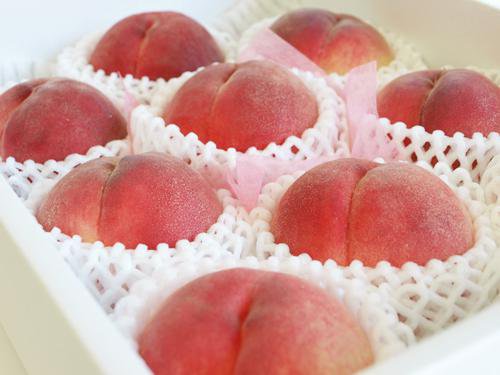 ������ŷƸ�����������ո����󥵡�����13�ٰʾ塧����