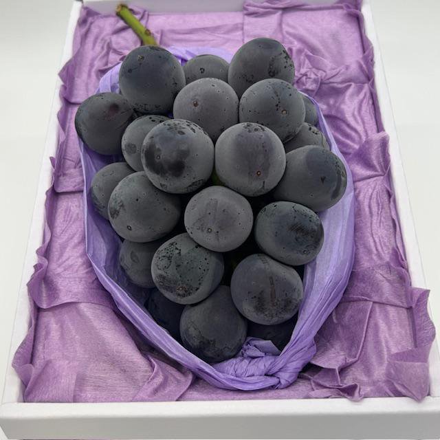 B���ե�åƥ��������ԽܤΥե롼�ġ� ���������֥ԥ����֤ͤɤ��ײ������ࡿ1˼����1Ȣ������