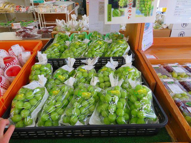 ���㥤��ޥ����åȡ�³�������桪��������