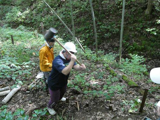 ֲƤθܥƥפͻ239/Წԡǯβȡˡ