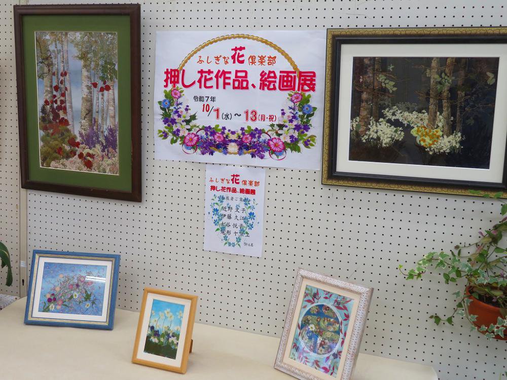 �����ֺ���Ÿ��������Ǥ���������