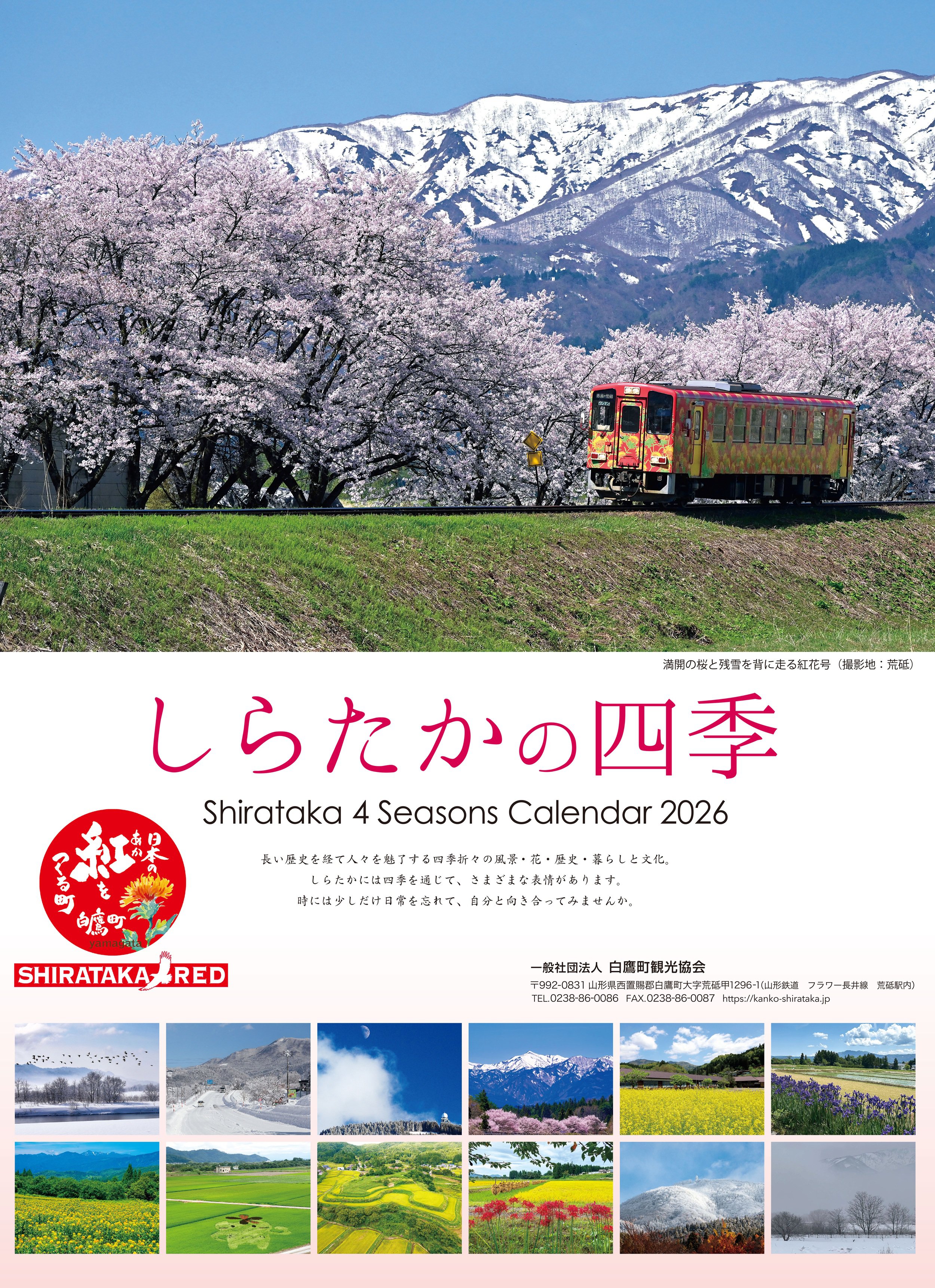 餿λ͵2026ǯȯΤ餻