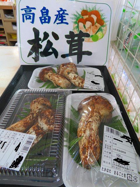 ���������٤��Ϥ�ޤ�����������