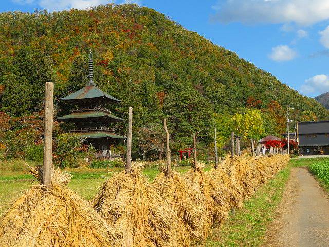 ������Ȱ𹺤����ʡ����վ���������