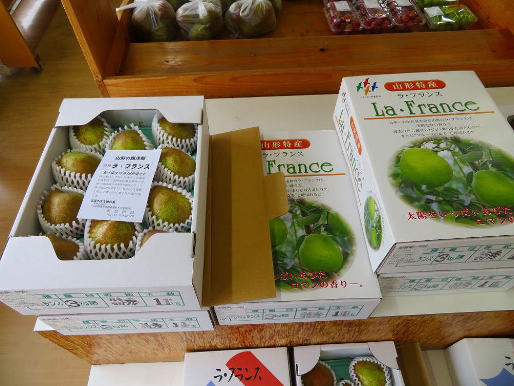 2025顦ե󥹤䤬ؤޤ