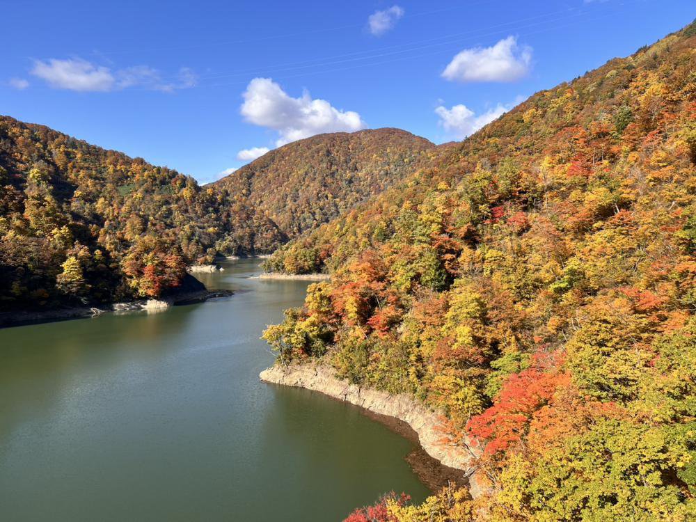 ’25 紅葉情報 (11月4日)：画像