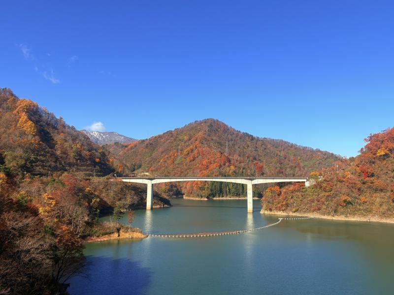 ’25 紅葉情報 (11月14日)：画像