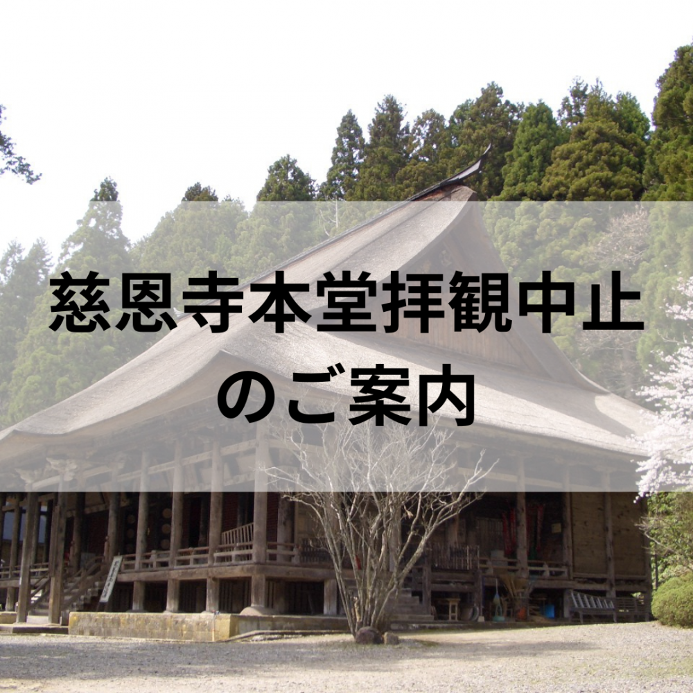 ��������Ʋ�Ҵ���ߤΤ��Τ餻������