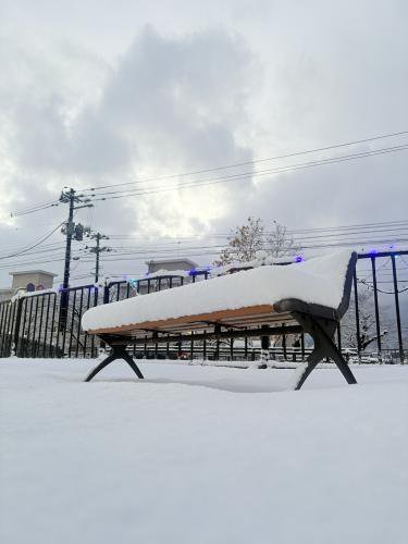 ’25 長井市　積雪情報(12月5日)：画像