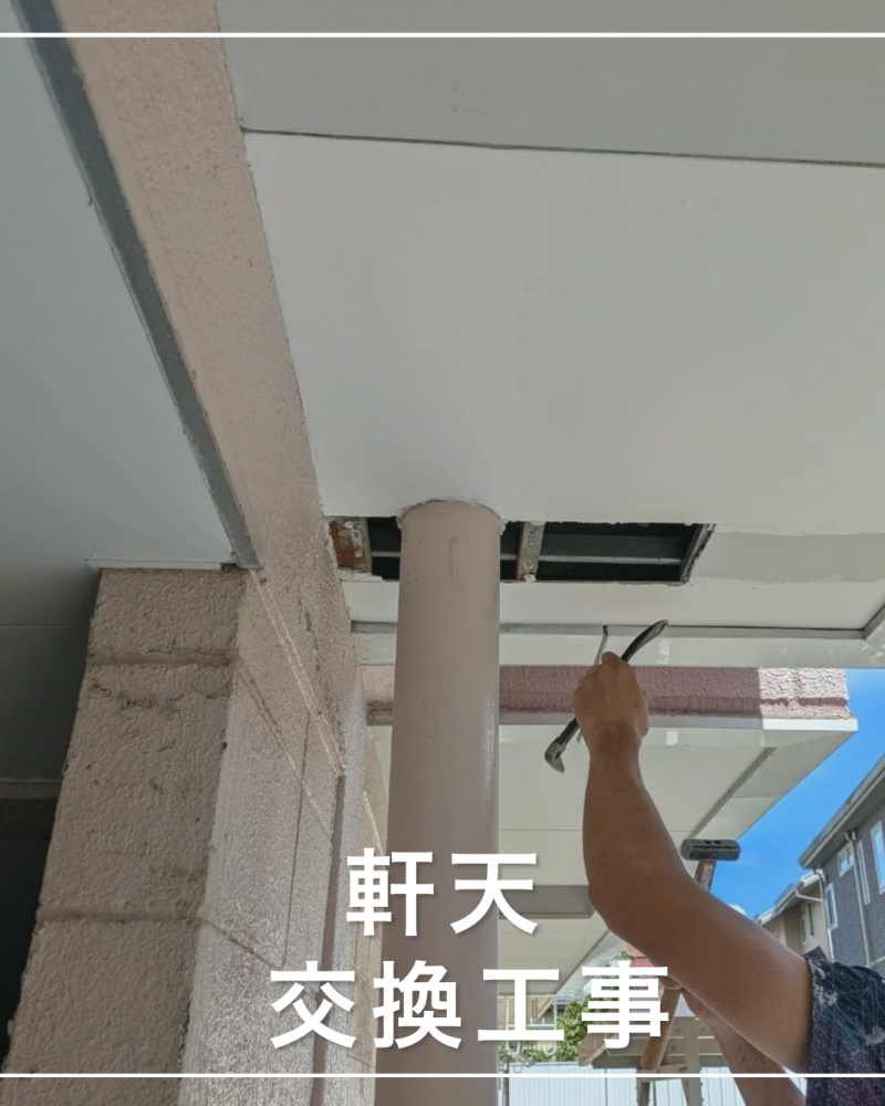 ��ŷ�򴹹���<br>�ʻ����ԡˡ�����