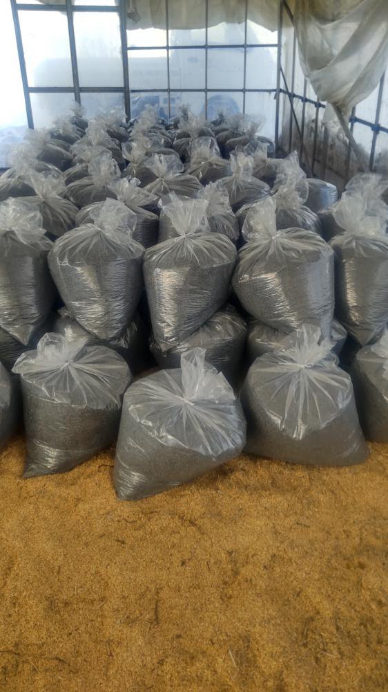 ��ú���äƤޤ���������