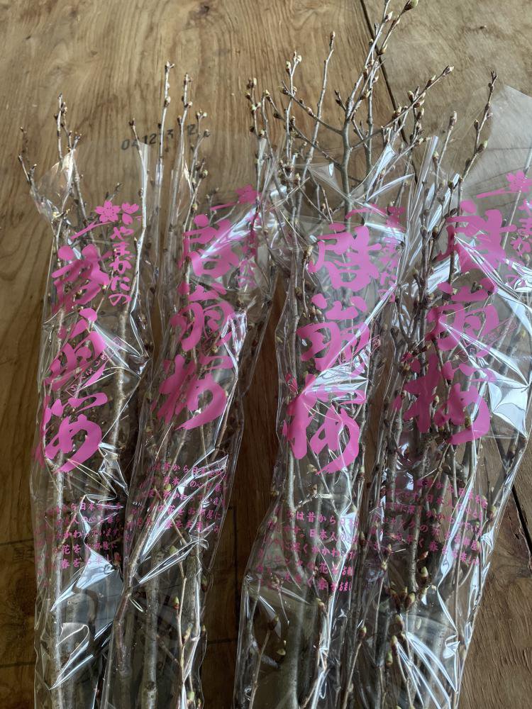 �����β֡�����