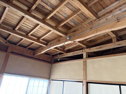 �������¡�����