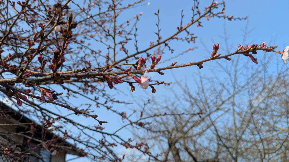 �����餭�ޤ�����������