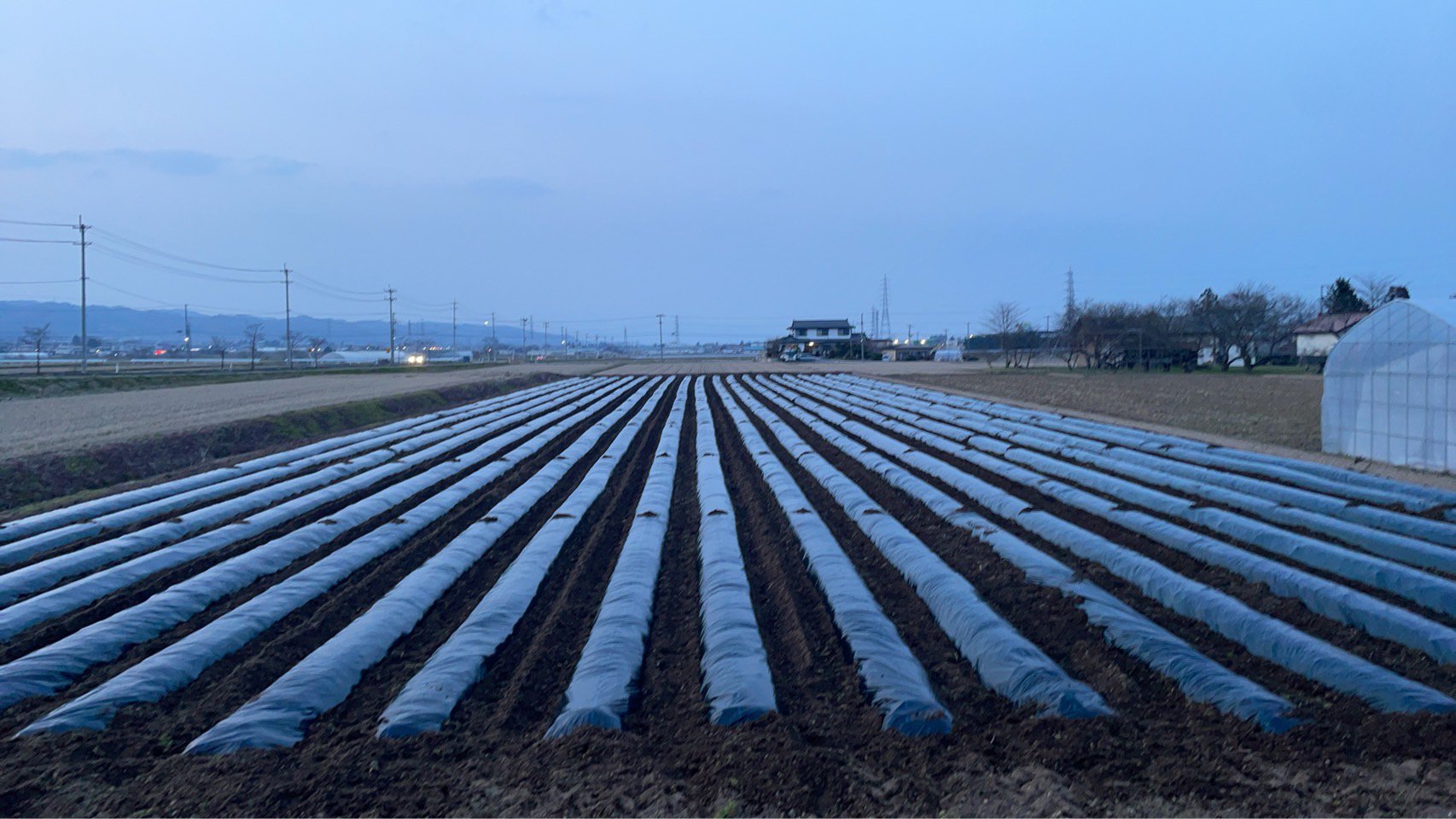 ���褤�襹�����ȡ�������