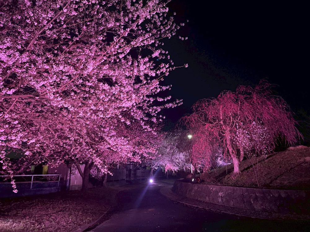 ���ȫ�� ���饤�ȥ��åפˤĤ��ơ�����