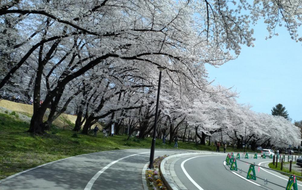 �����प�ָ���ݡ��ȡ�4������������ˡ�����