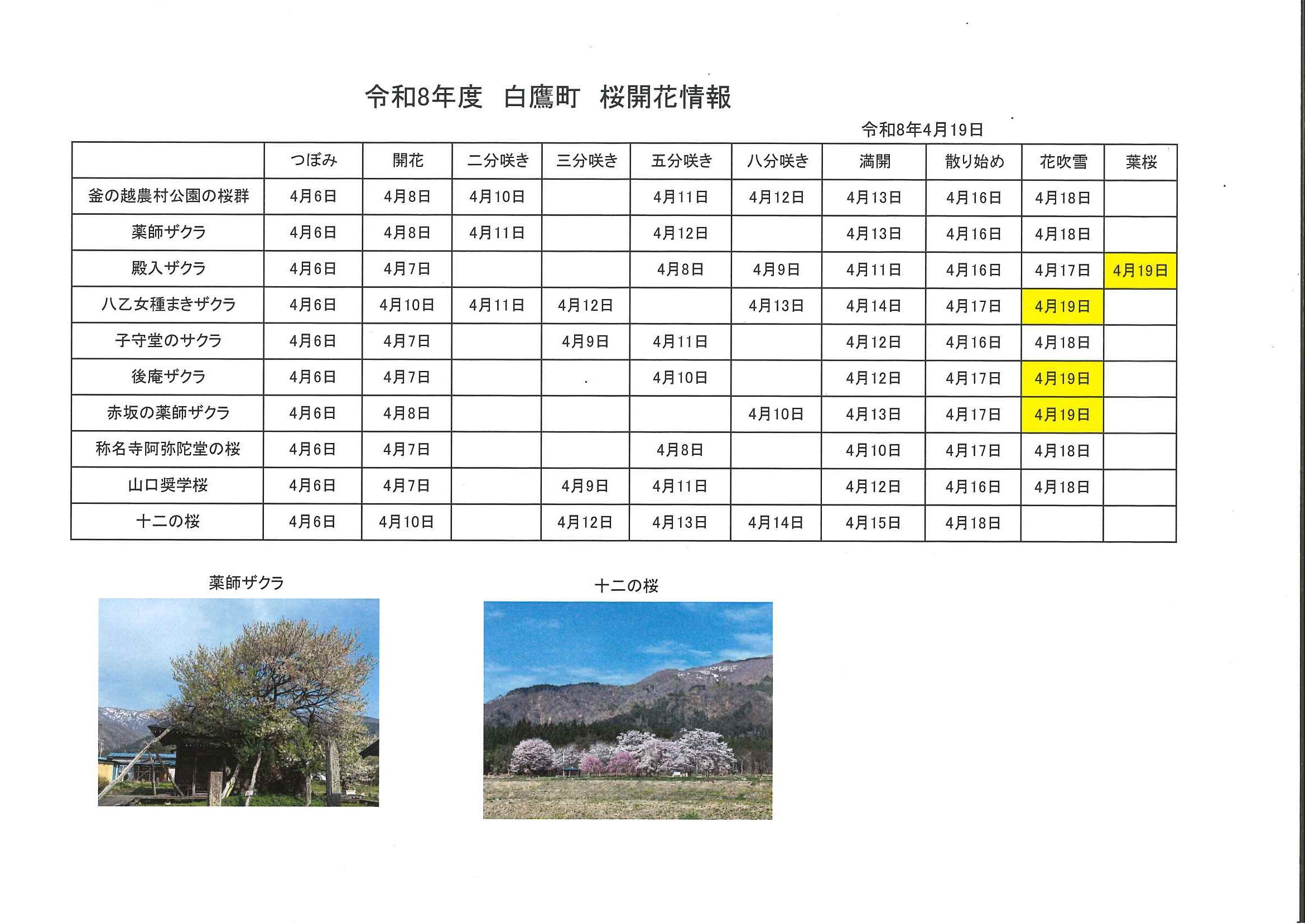 4.19���־���Ǥ���������
