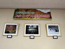 「県民の森フォトコンテスト2022」入賞作品展のお知らせ：画像
