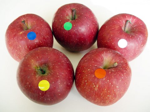 ふじりんご食べ比べbox/りんご5種類まるかじりプラン：画像