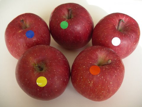 ふじりんご食べ比べbox/上位4産地5種類の味くらべ：画像