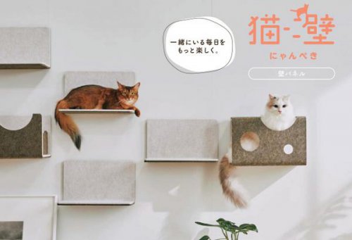 磁石で好きな位置に付けられる「猫壁」（にゃんぺき）：画像