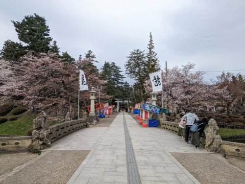 4月7日　上杉神社参道正面　桜と毘龍旗：画像