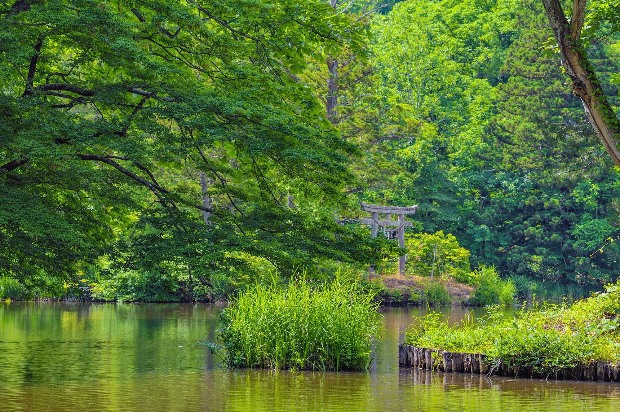 ̾������¤�����