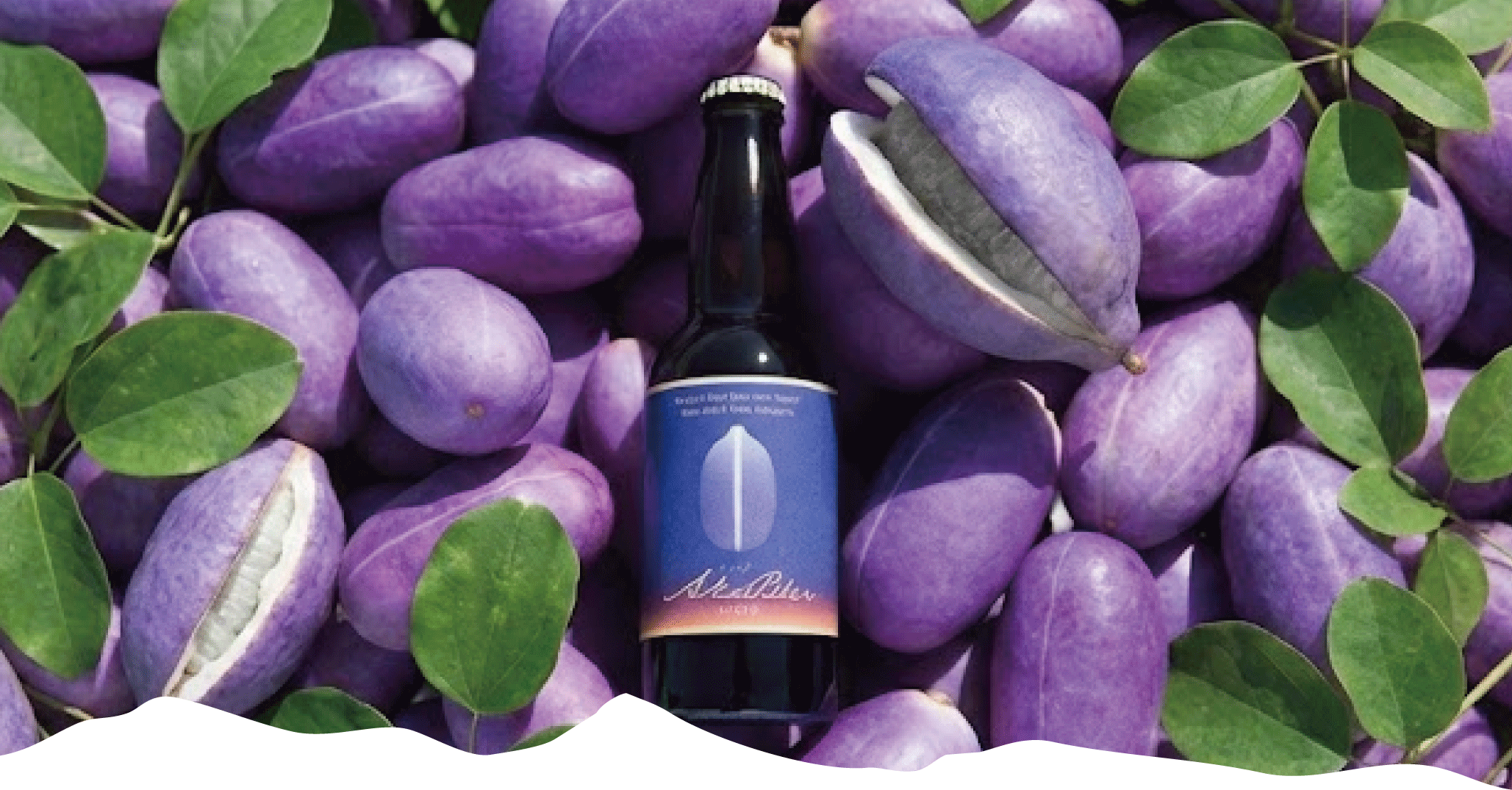 �����ӥ���