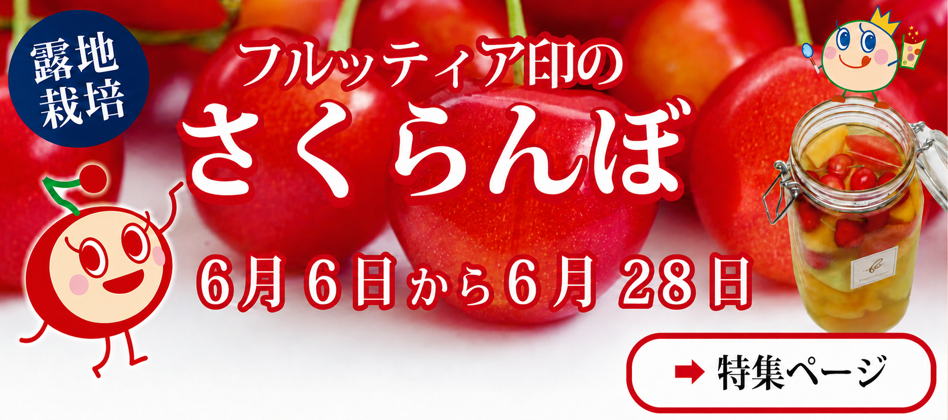 �Хʡ��ʤ�������Ϫ�ϡ�