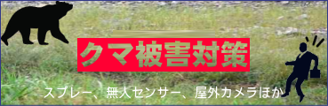 クマ被害 クマ対策