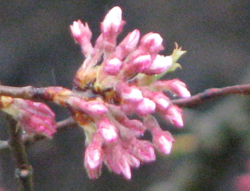 2010ǯݺ־裹ơʣˡ