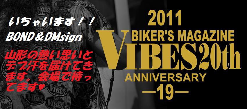 VIBES MEETING 20th ANNIVERSARY