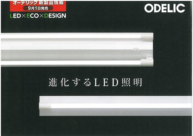 ODELICľɷLED١饤ȤΤҲ𡧲