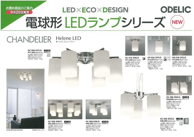ODELICƥꥢLEDץ꡼ΤҲ𡧲