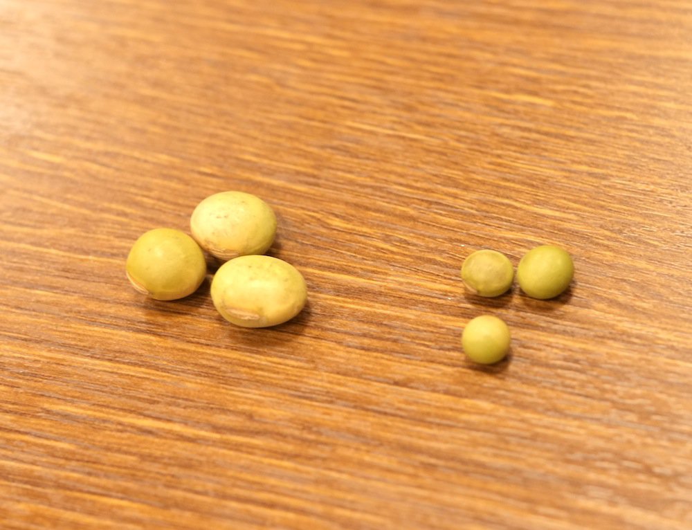 秘伝黒神ざる豆腐～秘伝豆×青大豆黒神：画像