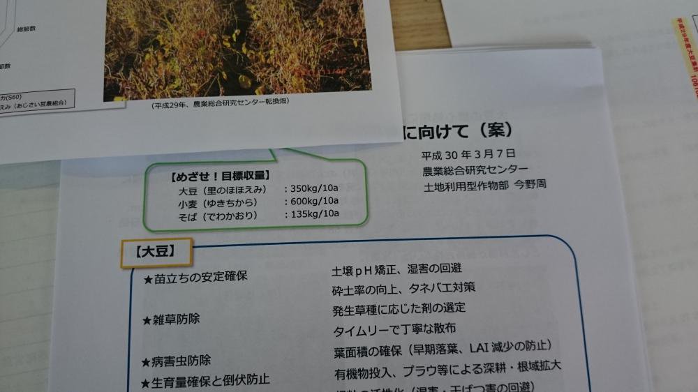 ��Ʀ��Ƥ�񡧲���