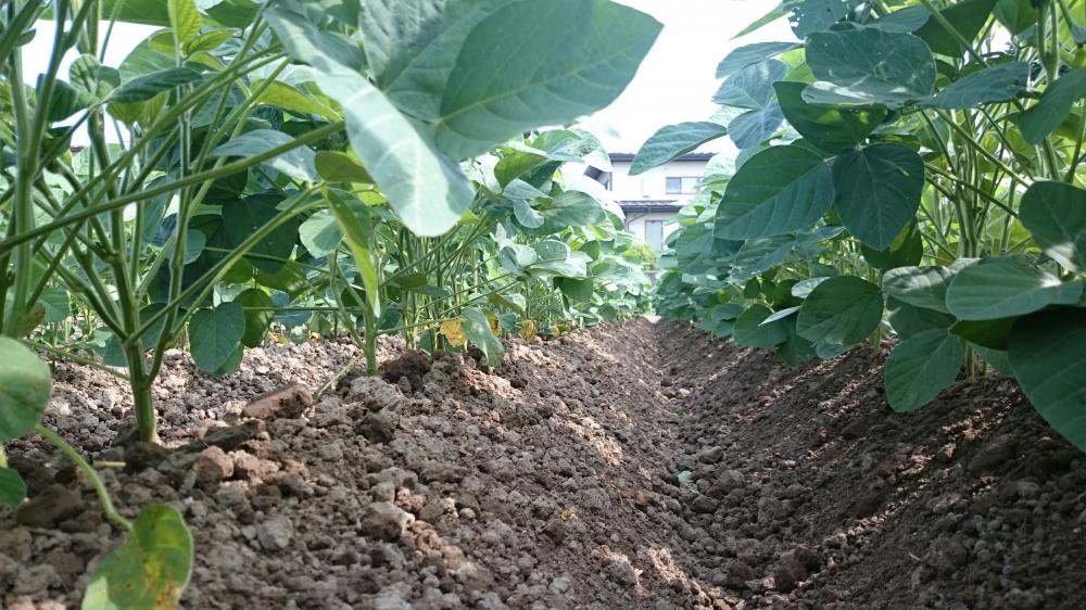 ���ڡ�������