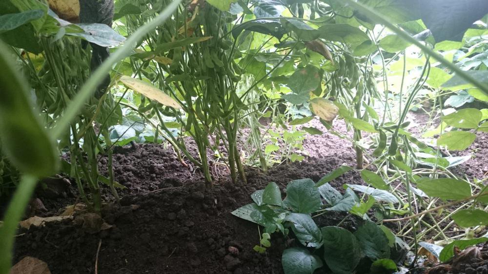 貤Ĥ�������