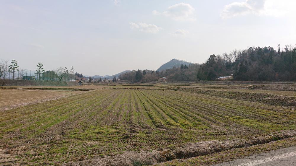 �ա�������