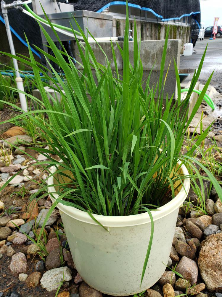 �Х��İ𡪡�����