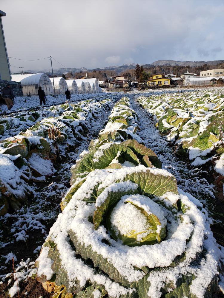 ����٥ļ��ϡ�����