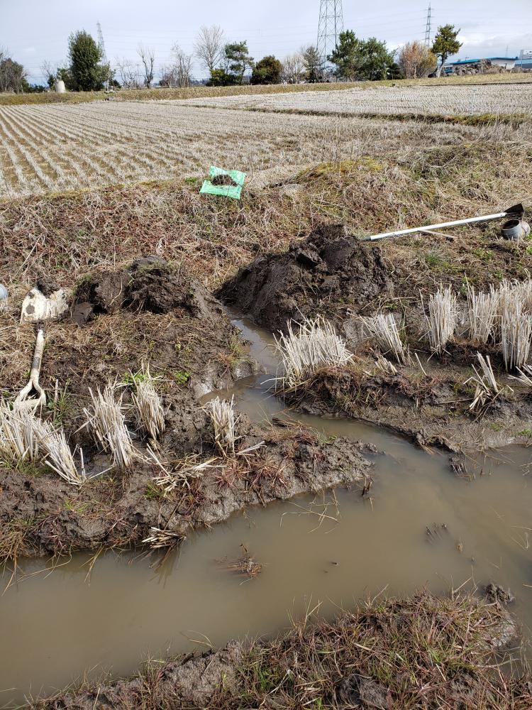 �Ĥ�ܤ��ӿ��ȻϤ�ޤ�����������