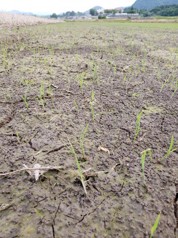 ľ�����β꤬��·�äƤ��ޤ�����������