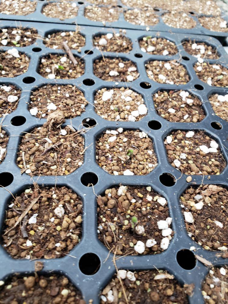 ����٥�ȯ�ꤷ�ޤ�����������