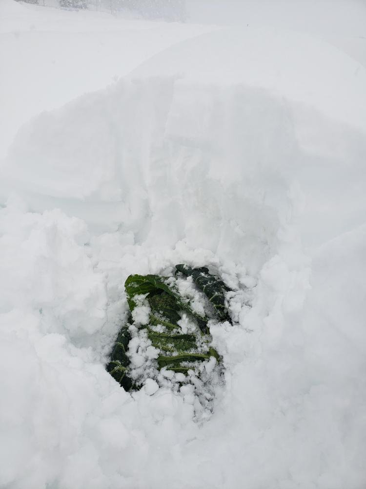 �㲼����٥ġ�����