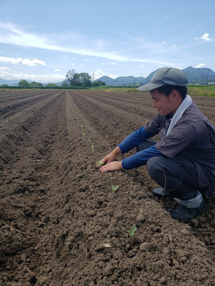 ����٥��꿢������