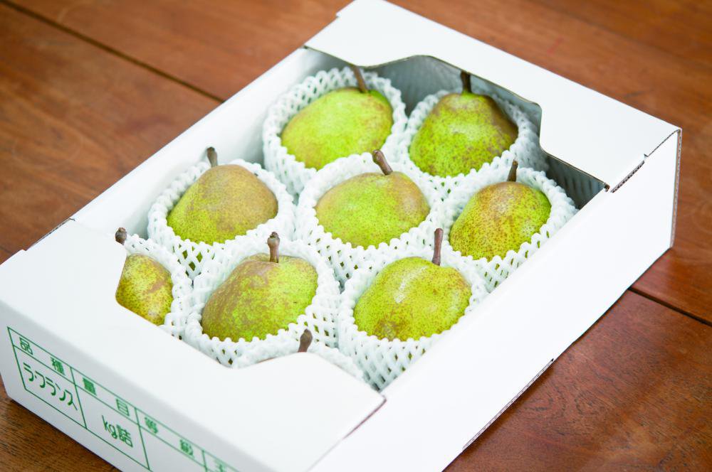 ����3ǯ�٥�ե��ͽ������Ϥ���ޤ���������