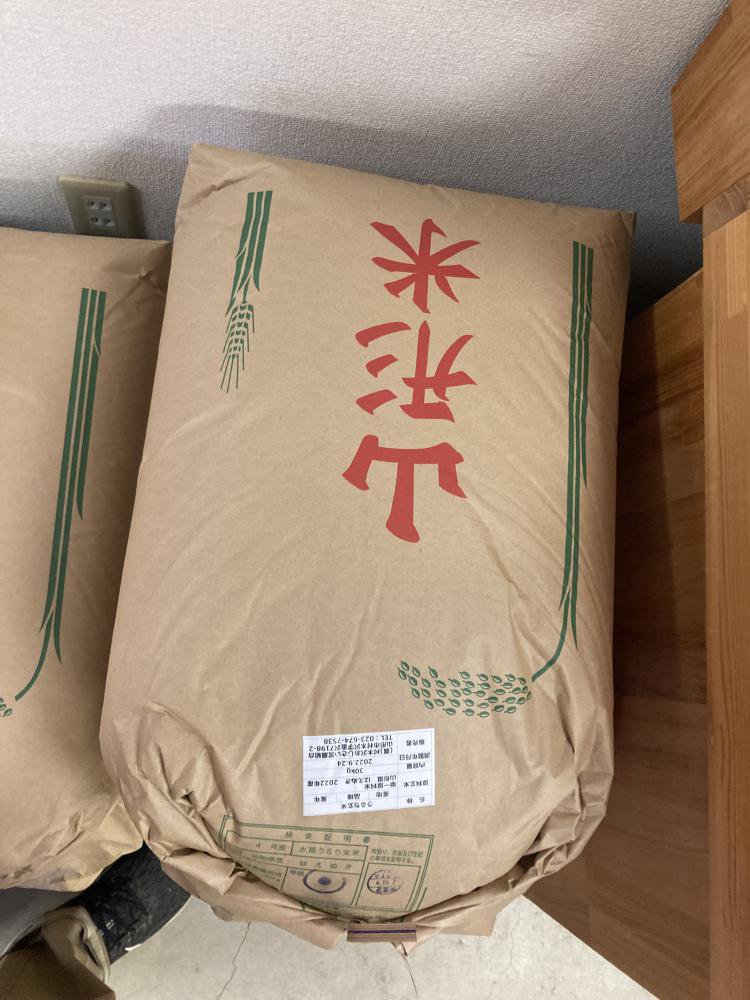 Ϥ̤硡桪